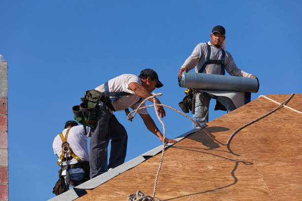 Best Roof Gutter Cleaning  in Summersville, WV