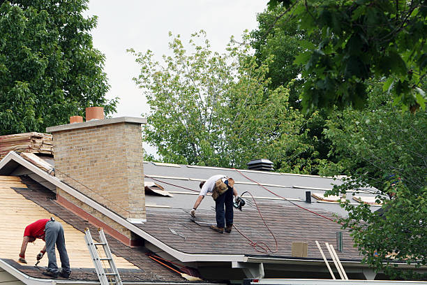 Best Flat Roof Repair Services  in Summersville, WV